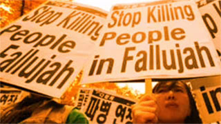 Robi Y Loretta - Don't Forget Fallujah