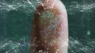 THCulture - Psyop - BIO