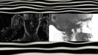 YouTube removed the video THCulture - Individual - Terror